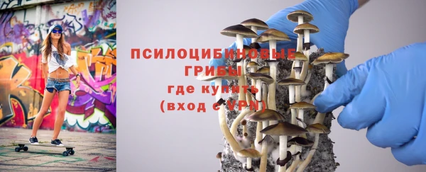 крисы Верхний Тагил
