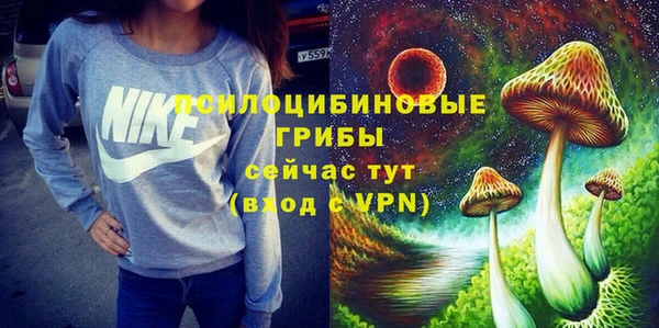 крисы Верхний Тагил